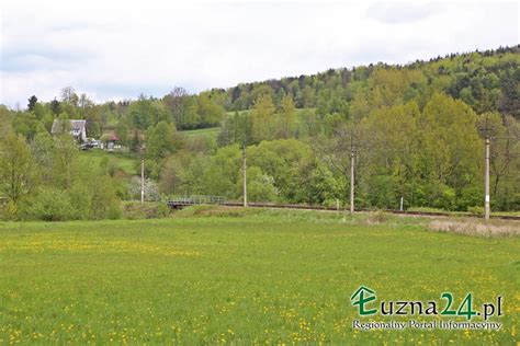 Pkp Zaplanowa O Mln Z Otych Na Remont Linii Kolejowej Od Polnej Do