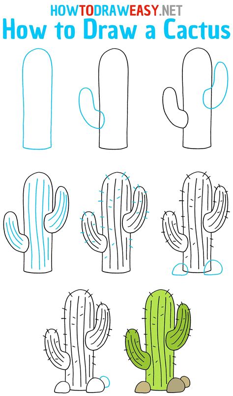 How To Draw A Cactus Step By Step Cactus Drawing Easy Flower