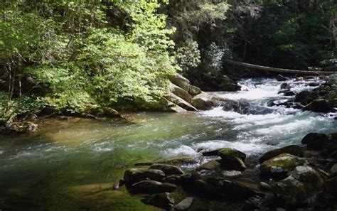 Guide to Fishing the Lower Etowah River - Maximize Your Success - Etowah Water Trail