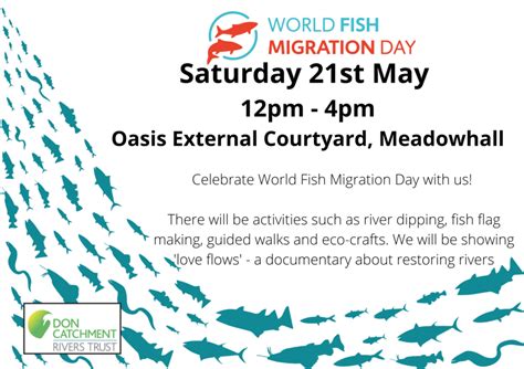 World Fish Migration Day Don Catchment Rivers Trust