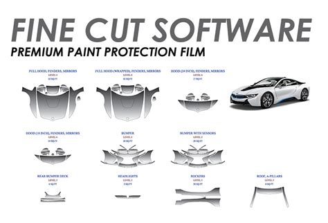 Raytech Films Global Window Film Specialist