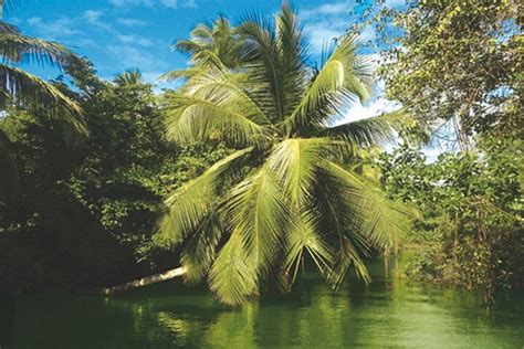 Passeio De Barco Privado Em Guadalupe Hellotickets