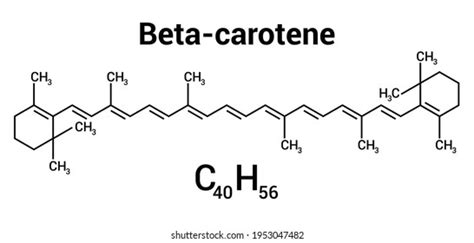 436 Carotene Structure Images, Stock Photos & Vectors | Shutterstock