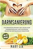 Darmsanierung Darmgesundheit Und Darmreinigung Durch Eine Gesunde