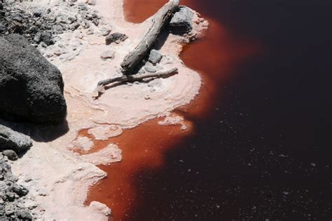 Evelien in Kenia: Lake Magadi