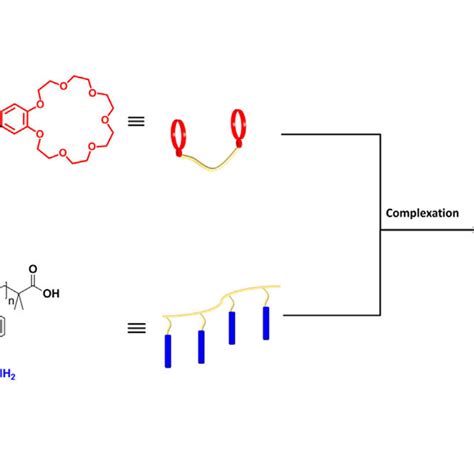 Schematic Representation Of The Formation Of Responsive Supramolecular