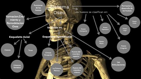 Arriba 61 Imagen Mapa Mental Sistema Oseo Abzlocal Mx