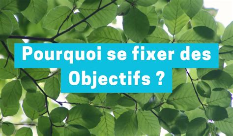 6 Raisons De Se Fixer Des Objectifs En 2024 Cory Lifestyle