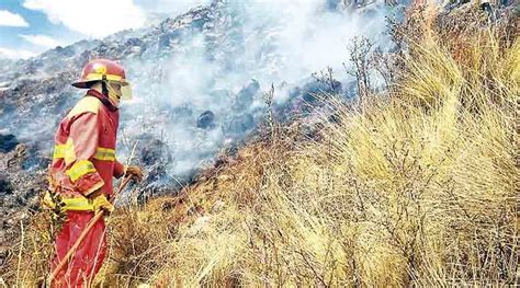 Perú registra 127 incendios forestales en un mes Exitosa Noticias