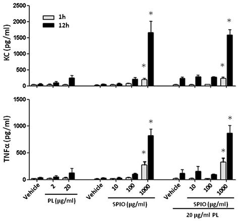 Analysis Of The Cytokine Profiles In The Cell Culture Medium And H