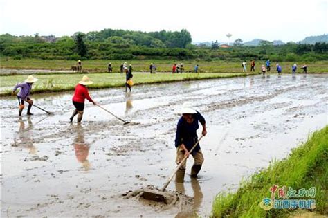 南丰：谷雨将至春耕忙 抚州频道 中国江西网首页