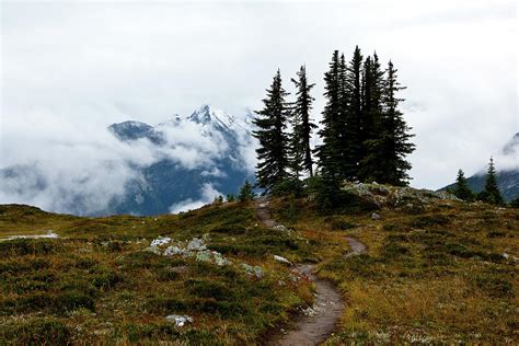 Balu Pass Trail Iii Photograph By Janet Chung Fine Art America