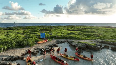 Kailua Bay Kayak Tour Popoia Island Flat Island Oahu Hawaii