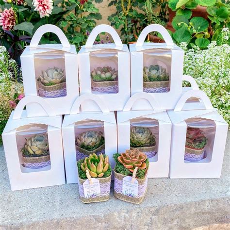 Wedding Succulent Party Favors Gift With Burlap Rustic Set Of