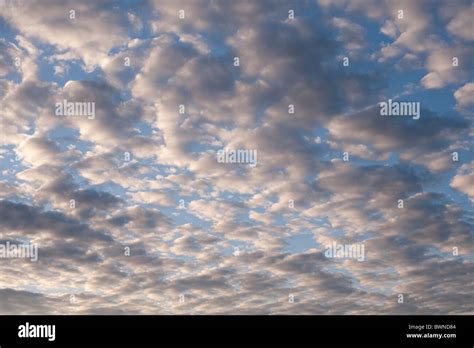 Altocumulus clouds at sunset Stock Photo - Alamy