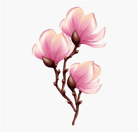 Beautiful Blooming Branch Transparent Png Blooming Flower Clipart