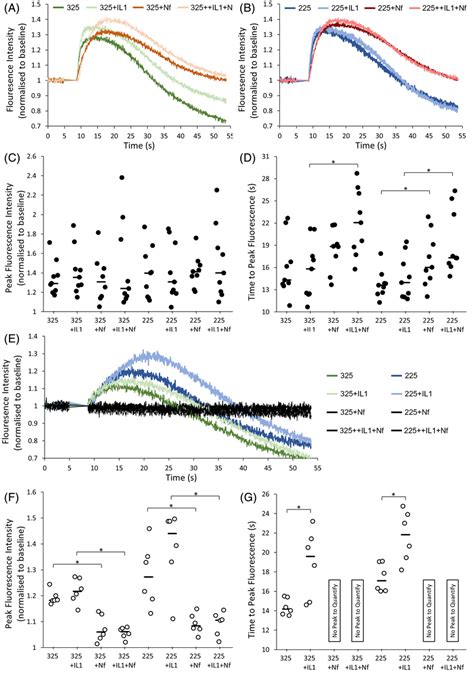 Calcium Influx By Nucleus Pulposus NP Cells In Response To Osmotic