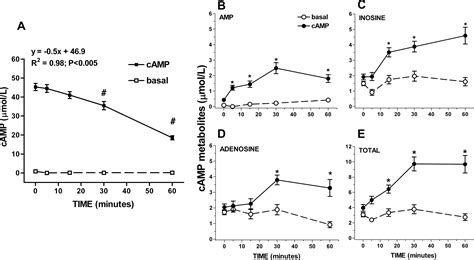 Cyclic Amp In Rat Ileum Evidence For The Presence Of An Extracellular