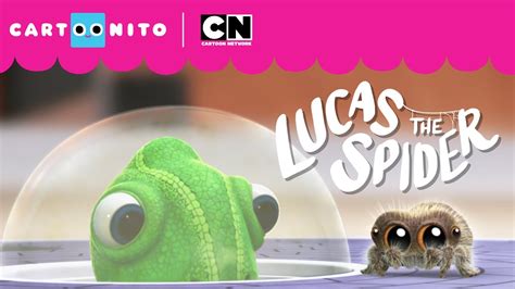 Hide N Seek With Lucas Lucas The Spider Cartoonito Youtube