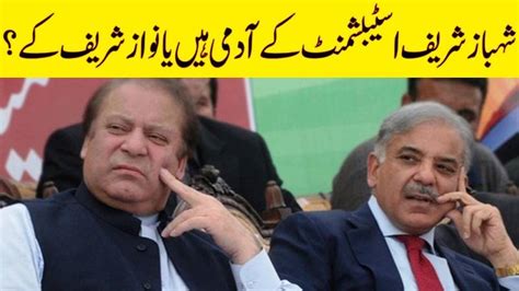 Shehbaz Sharif Establishments Man Or Nawaz Sharifs