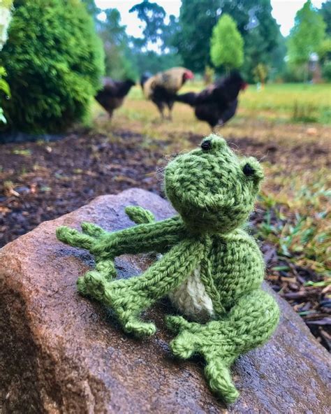 Knit Frog Free Pattern And Tutorial Em 2024