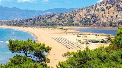 Full Day Tour Of Bodrum Dalyan