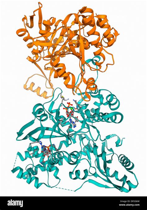 Structure Isocitrate