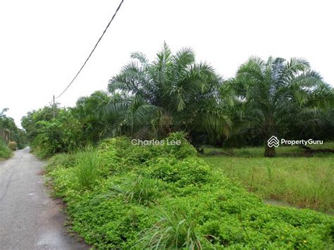 Mukim Api Api Jalan Teluk Piah Kanan Asam Jawa Bukit Rotan Kuala