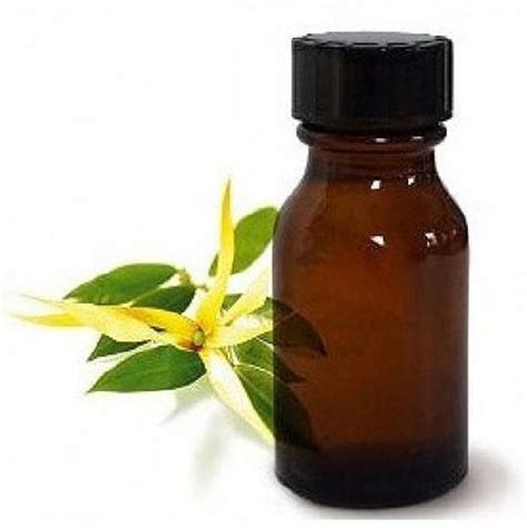 Ylang Ylang Essential Oil Form Liquid At Best Price In Kannauj Id