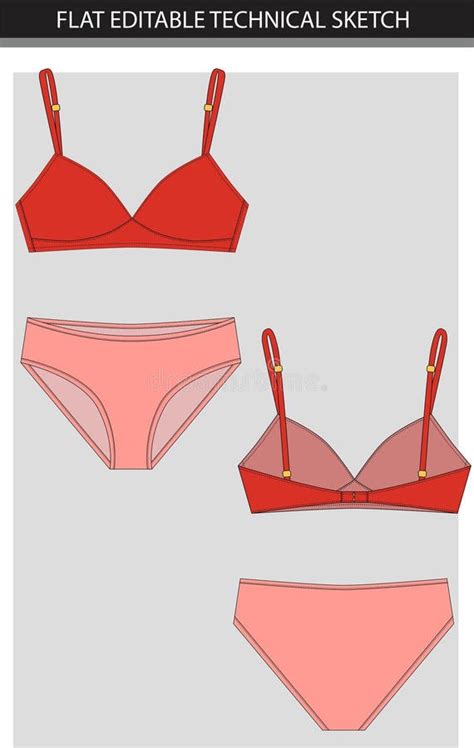 Women S Lingerie A Set Vector Illustration Of A Set Of Lingerie Stock