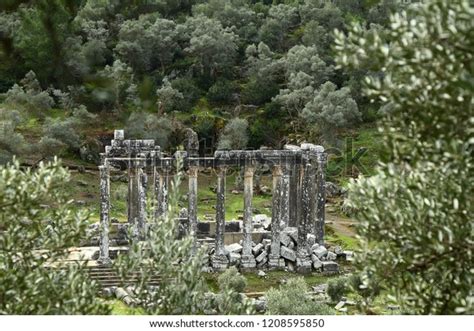 Columns Ancient Temple Zeus Euromos Ancient Stock Photo 1208595850