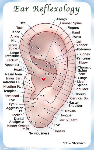 Ear Seed Placement Cheat Sheet Tcm Tips Artofit