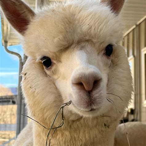 Buyers were shocked by the cheapest winchester ma zillow listing today 35