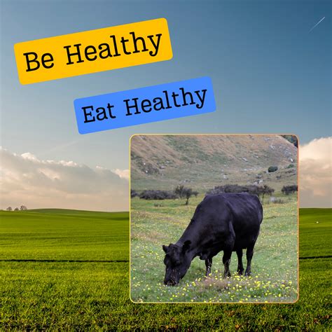 Grass Fed Beef A Healthier Choice For Your Meat Selection Rua Meats Shop