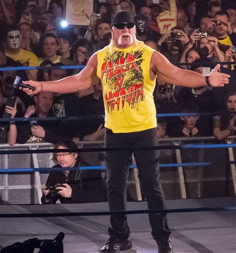 Hulk Hogan Wikiwand