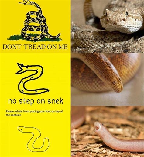 No step on snek : r/funny