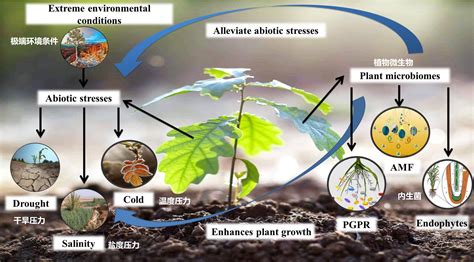 科学网—我们不知道答案的125个科学问题106植物的抗逆性 张林的博文