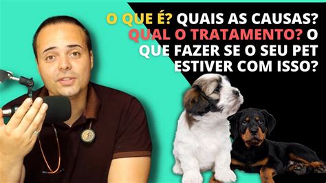 INSUFICIÊNCIA RENAL tudo o que você precisa saber med vet YouTube