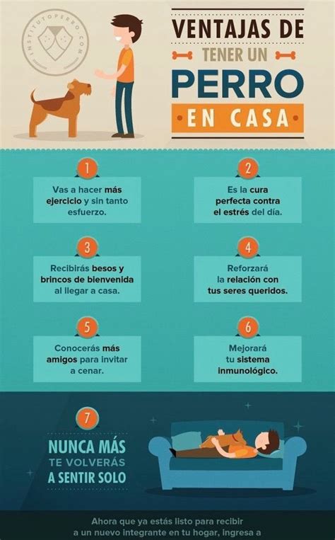 ¿ Conoces Las Enormes Ventajas De Tener Un Perro Perros