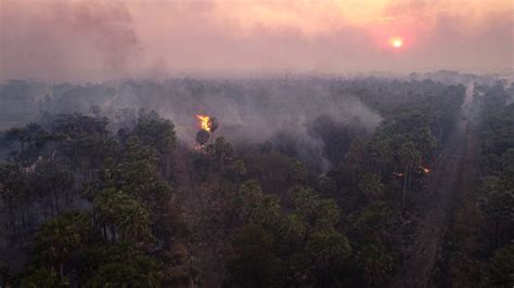 La Amazonia Y El Pantanal Registran Sus Peores Incendios Forestales En Dos Décadas Nodal