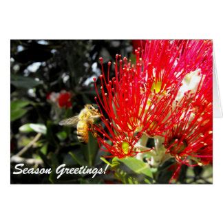 New Zealand Christmas Cards | Zazzle