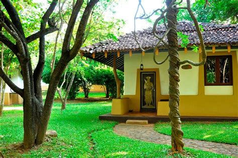 Amaya Lake Kandalama,Dambulla-Sigiriya:Photos,Reviews,Deals