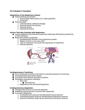 Exam 1 2021 Practice Exam Version 2 Unit 1 OpenStax Microbiology Bio