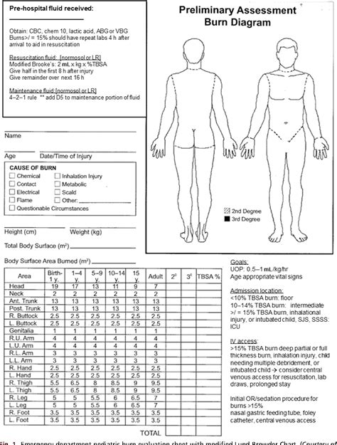 Pediatric Burn Care: Unique Considerations in Management. | Semantic ...