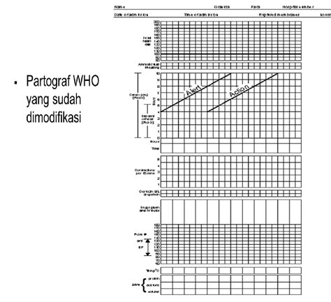 Contoh Kasus Persalinan Normal Beserta Partograf Karya Tulis Ilmiah