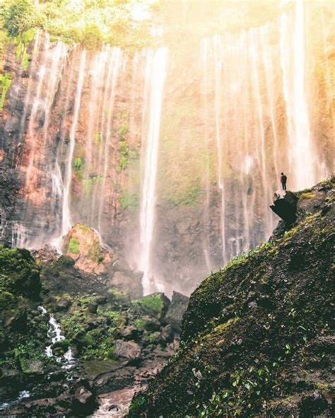 a man standing on top of a cliff next to a waterfall in the forest with sunlight streaming ...