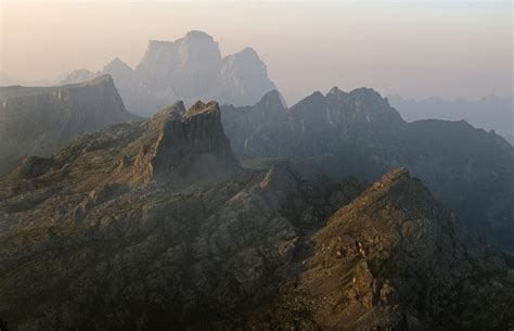 New Dinosaurs Evolved After Dramatic Global Climate Changes Killed