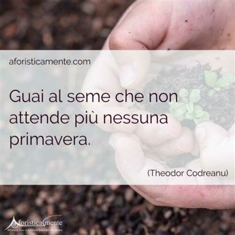 Frasi e aforismi sulla primavera le 60 più belle Aforisticamente