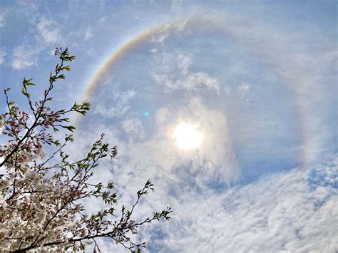 太陽の周りに輝く“虹色の輪”「花見で空を見上げたら」鹿児島県北部で目撃相次ぐ Tbs News Dig フォトギャラリー