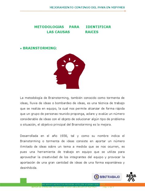 Metodologia Identificar Causas Brainstorming Pdf Lluvia De Ideas Cognición